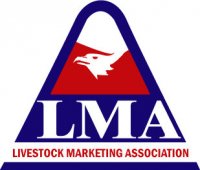 LMA
